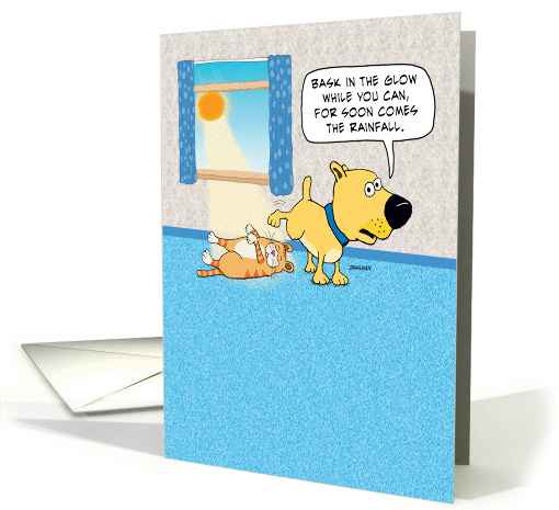 Funny Philosophical Dog Birthday, Cat in Sunshine card (1372738)