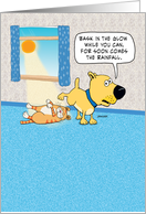 Funny Philosophical Dog Birthday, Cat in Sunshine card