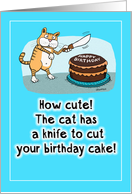 Funny Stabby Cat Birthday card