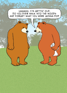 Funny Forgetful Bear...