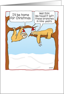 Funny Sloths Christmas card