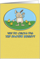 Funny Easter card: Chicks Dig the Bunny card