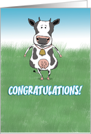 Funny Congratulations card: Cow in Field card