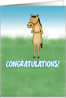 Funny Congratulations card: Horse in Field card