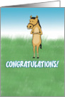 Funny Congratulations card: Horse in Field card