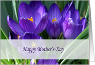 Happy Mother’s Day card