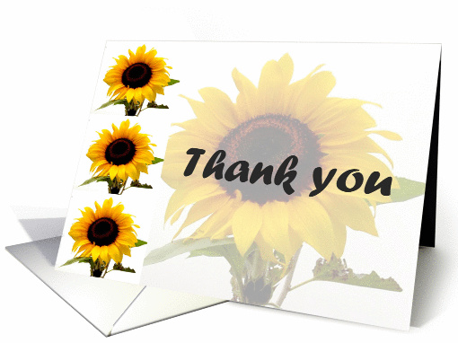 Sunflower card (200017)