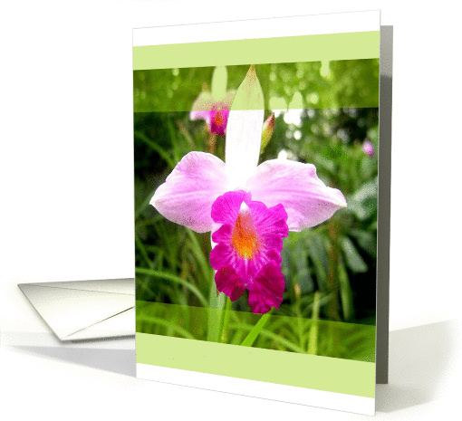 Flower card (200069)
