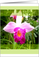 Flower card