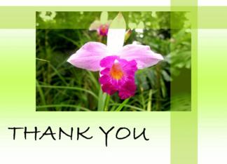 Flower Greeting Card