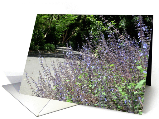 Road with Flowers card (203819)