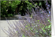 Road with Flowers card