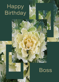 Birthday Boss Card