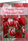 Easter Card For Mom And Dad card