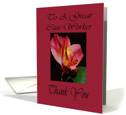 Thank You Case Worker card (497151)