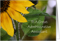 Administrative Assistant Day Card