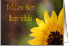 Birthday Card for Sister card