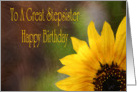 Birthday Card For Stepsister card