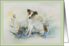 Jack Russell Terrier Dog Blank Any Occasion card