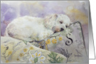 Watercolor Toy Poodle Dog Card