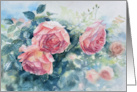 Watercolor Pink Rose Blank card