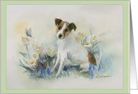 Jack Russell Terrier Dog Blank Any Occasion card