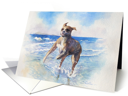 Dog Card, Boxer Blank Any Occasion card (1605508)