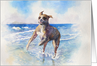 Dog Card, Boxer Blank Any Occasion card