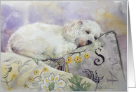 Watercolor Toy Poodle Dog Card