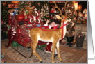 Sign Language I Love You Reindeer & Christmas Sleigh card