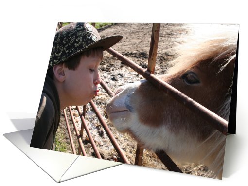 Happy Anniversary - Horse kiss card (211978)