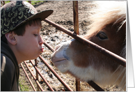 Happy Anniversary - Horse kiss card