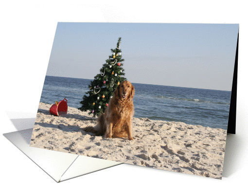 Golden Retriever Christmas card (287409)