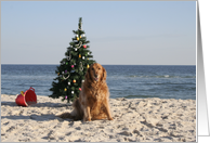 Golden Retriever Christmas card