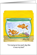 Fish Bowl Birthday card