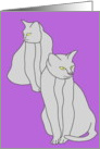 Two Cats card