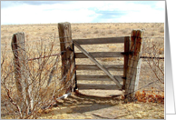 Pasture Gate -...
