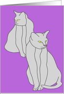 Two Cats card