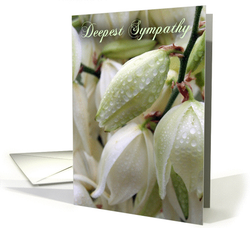 Deepest Sympathy card (214605)