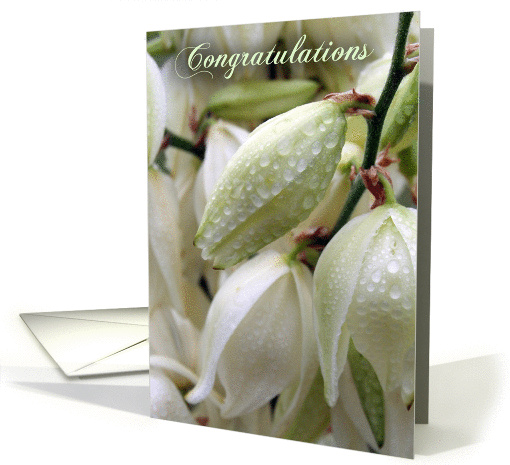 Congratulations card (214615)