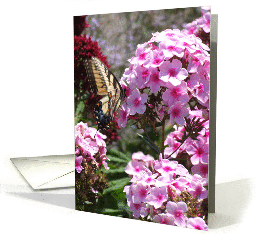 Flutterby Series card (230795)