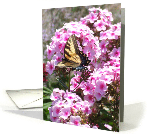 Flutterby Series card (230797)