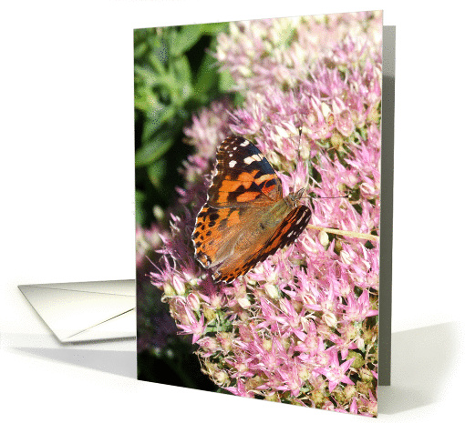 Flutterby Series card (230799)