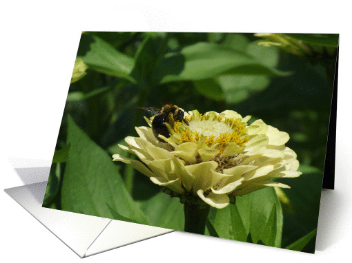 Buzy Bee card (230803)