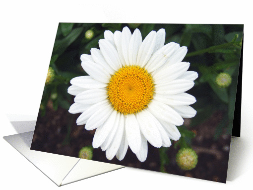 Fragrant Florals card (230807)