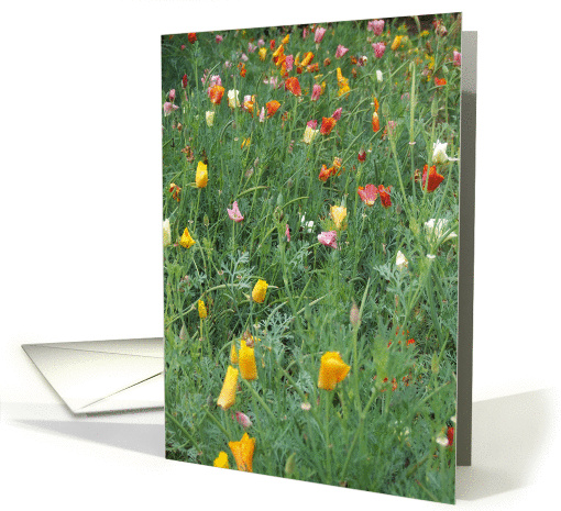 Fragrant Florals card (230819)