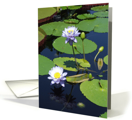 Fragrant Florals card (230821)