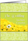 Announcement-Cancelled Wedding With Daises-Custom card