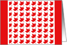 Canada Day Maple Leaves card