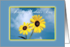 Mother’s Day-Yellow Daisies-Flowers card